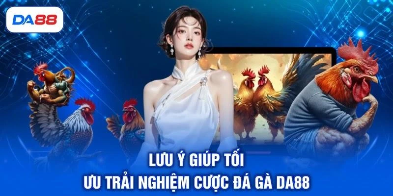 Lưu ý giúp tối ưu trải nghiệm cược đá gà DA88